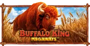 ภาพเกม Buffalo King Megaways ที่ honey289 รวบรวมไว้